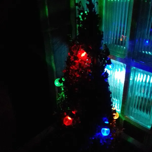 Foto 7