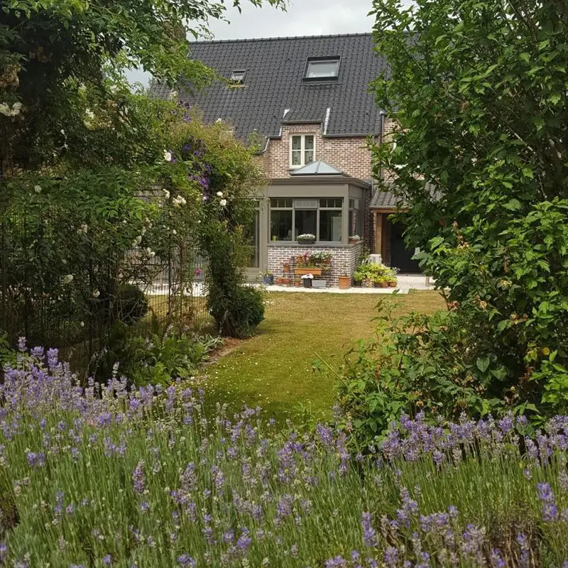 Foto 1