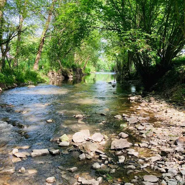 Foto 8