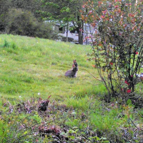 Foto 9