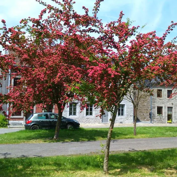 Foto 6