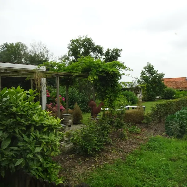 Foto 4