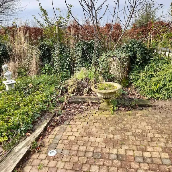 Foto 7