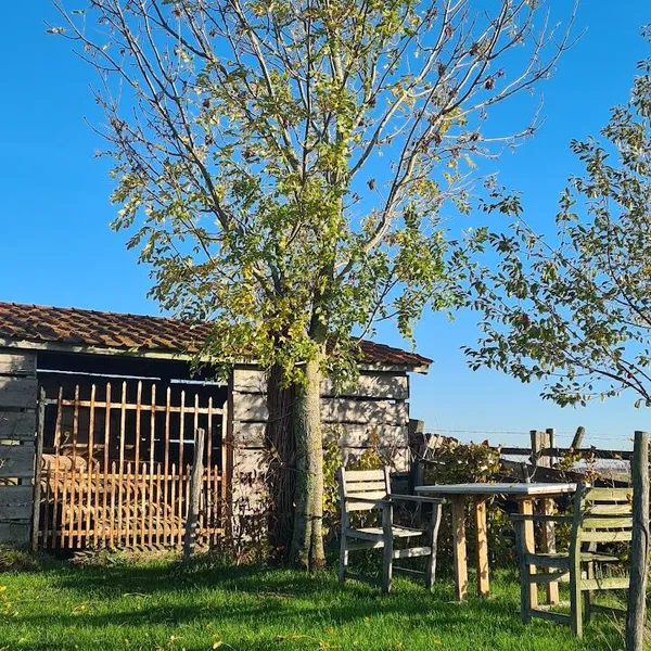 Foto 10