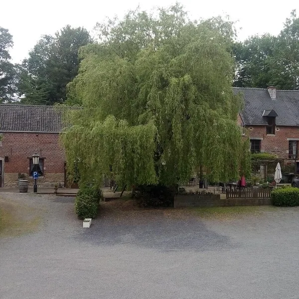 Foto 2