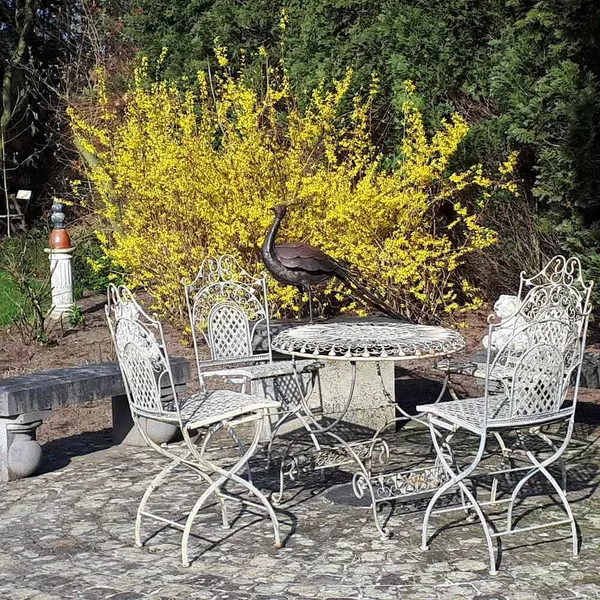Foto 5