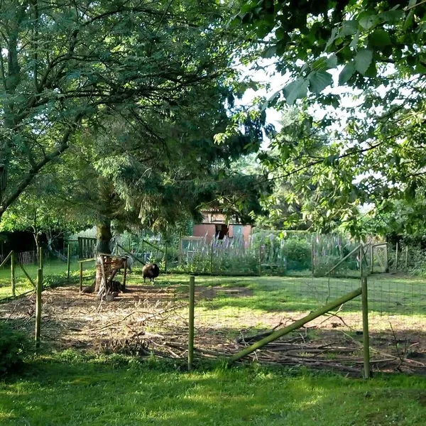 Foto 4
