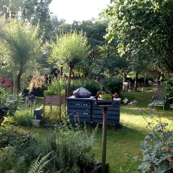 Foto 5