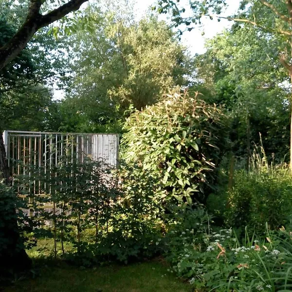 Foto 9