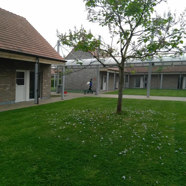 Foto 7