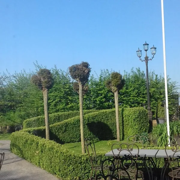 Foto 7