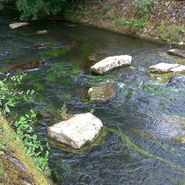 Foto 9