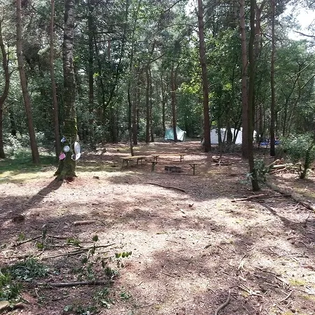 Foto 7