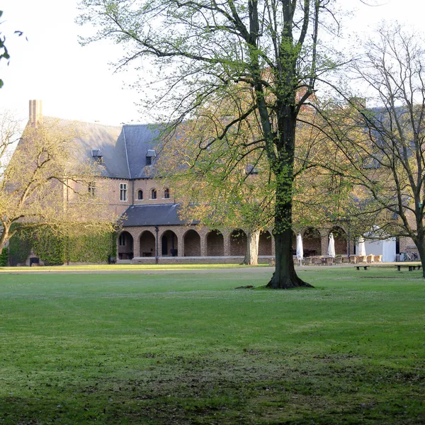 Image 10