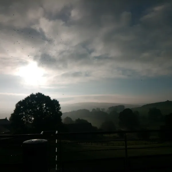 Foto 9