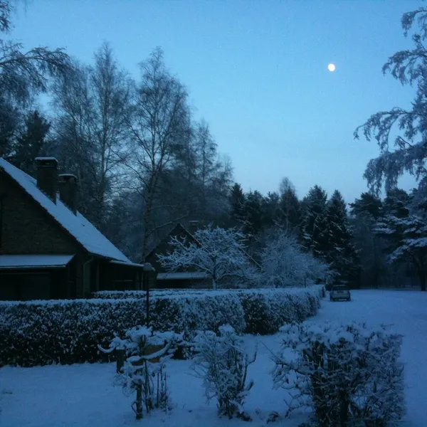 Foto 3