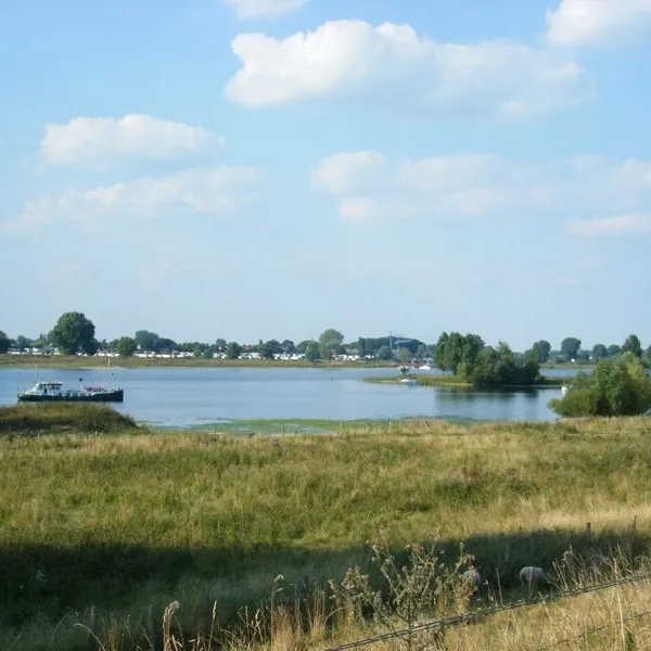 Image 17