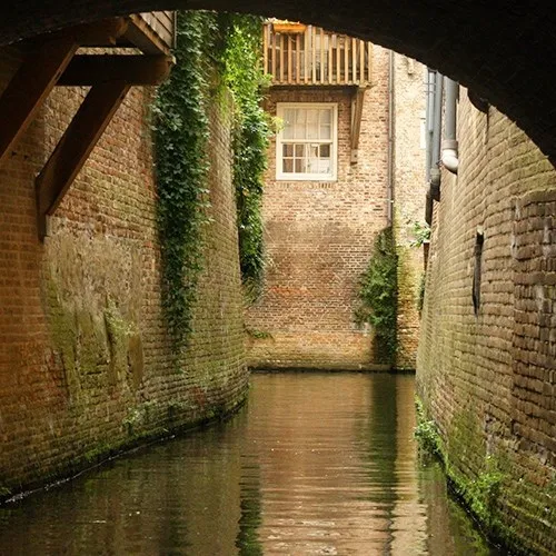 Image 22
