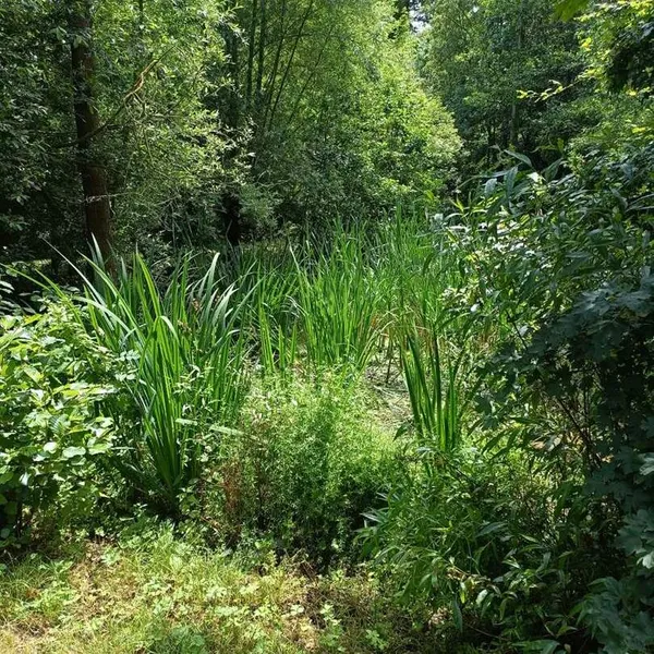 Foto 8