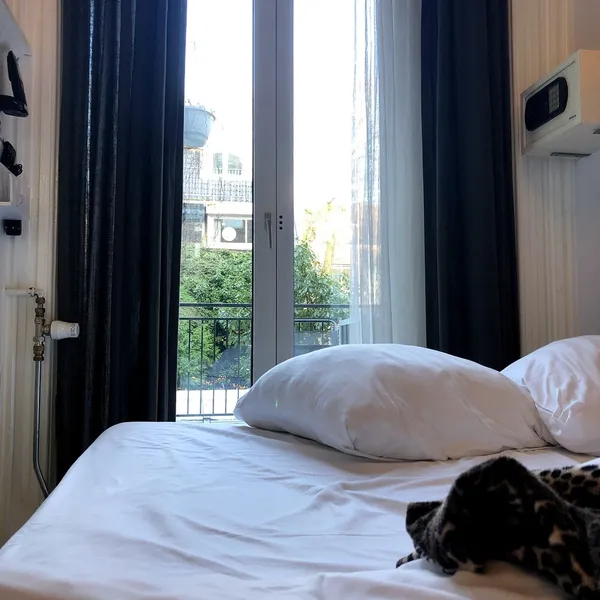 Image 6