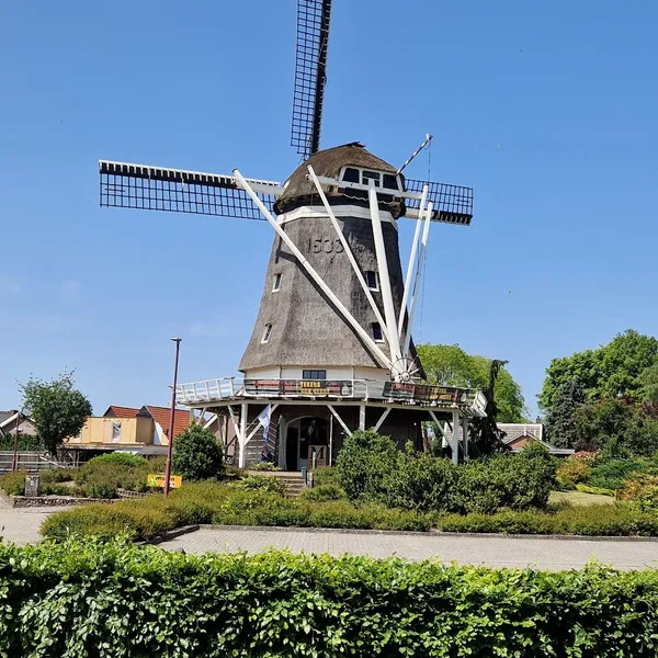 Foto 1