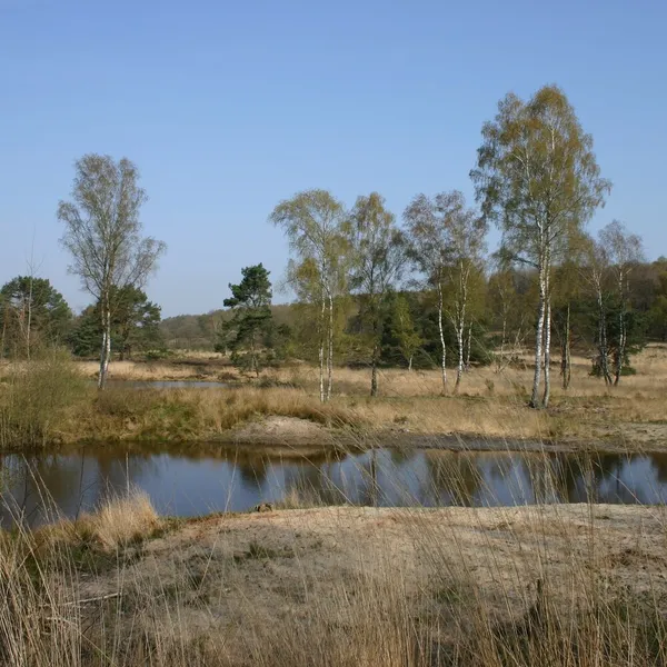 Image 25