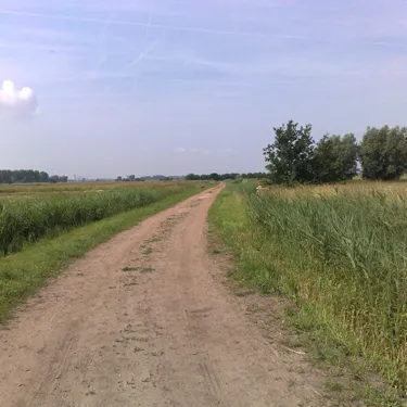 Image 18