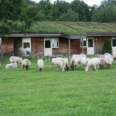 Image 15