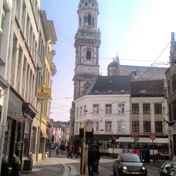 Image 8