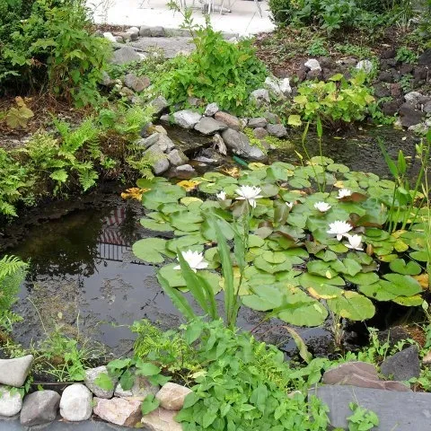 Image 25
