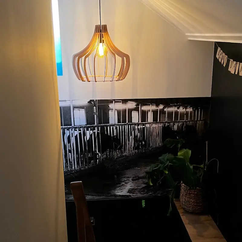 Foto 4