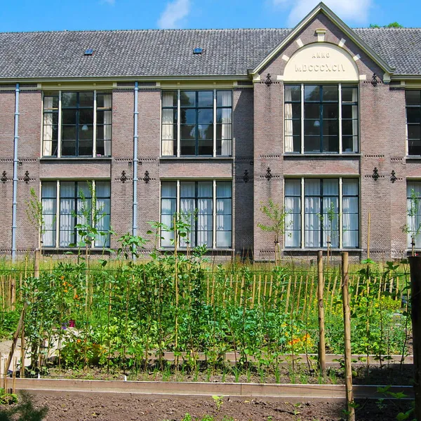 Image 29
