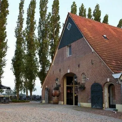 Image 12