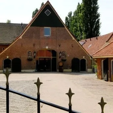 Image 10