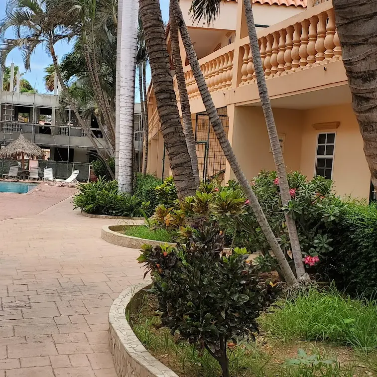 Foto 7