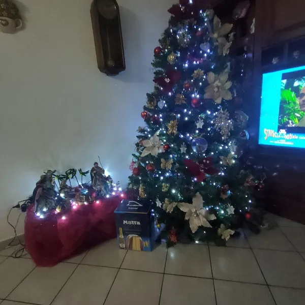 Image 8