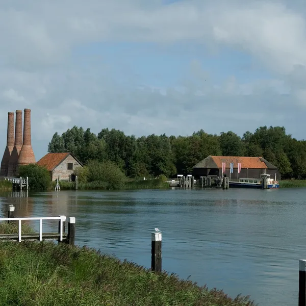 Image 12