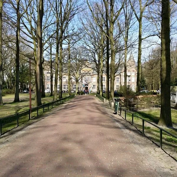 Image 10