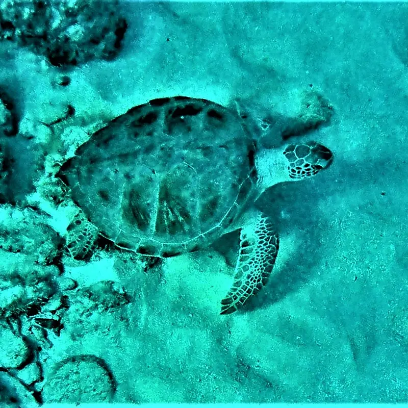 Foto 7