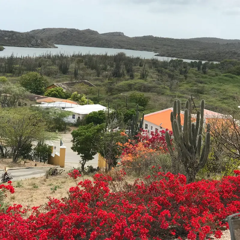 Foto 4