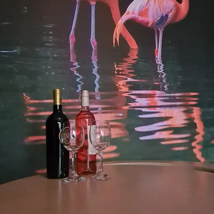 Foto 10