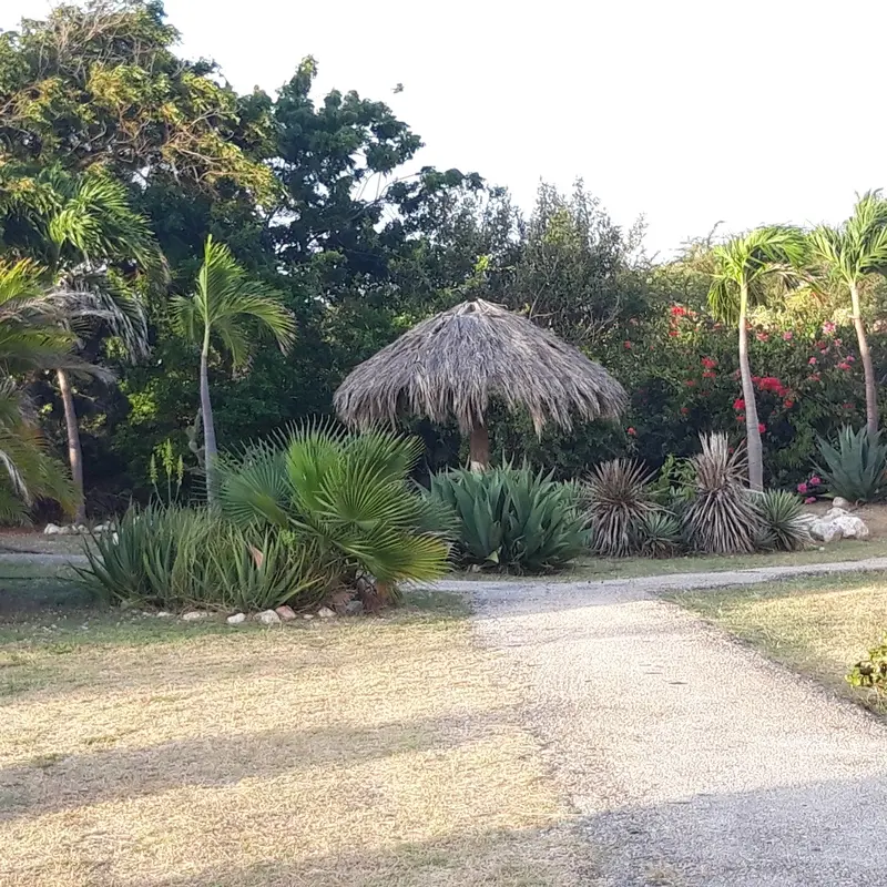 Foto 4