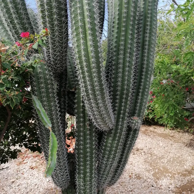 Foto 6