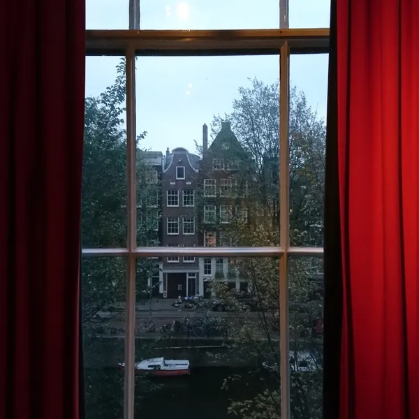 Image 7