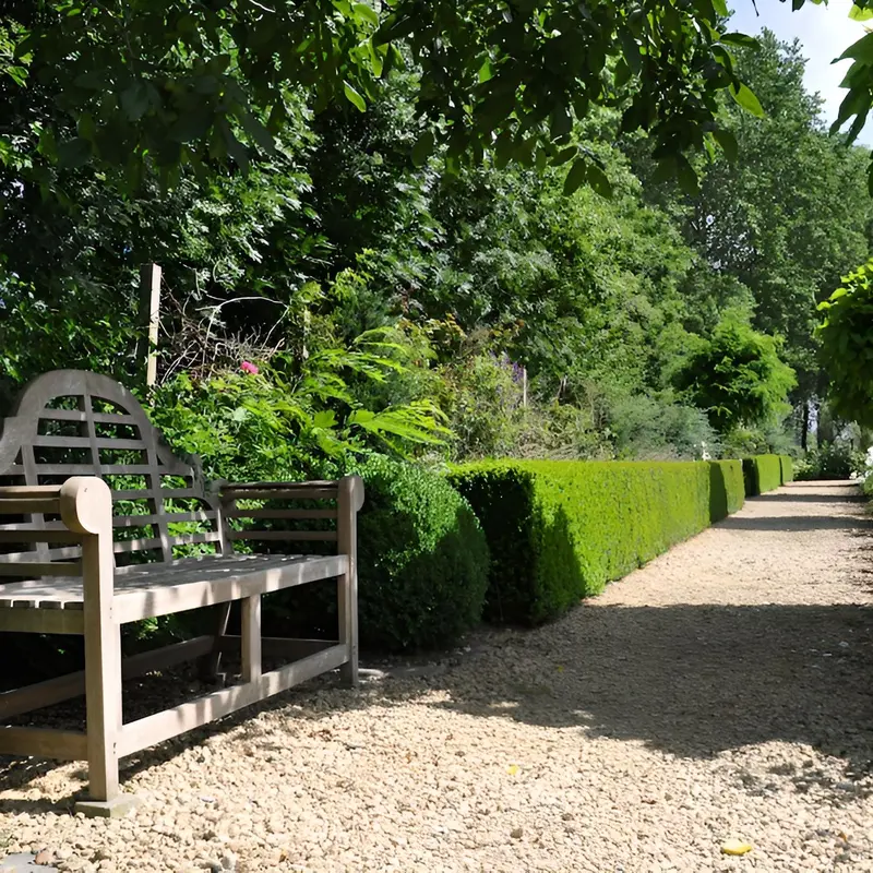 Image 12