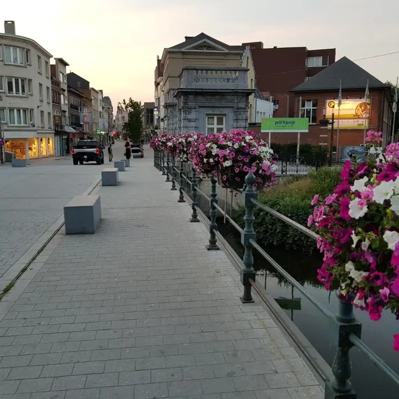 Foto 5