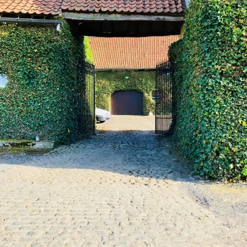 Foto 1