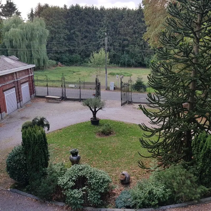 Foto 4