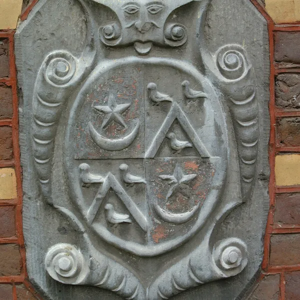 Image 13