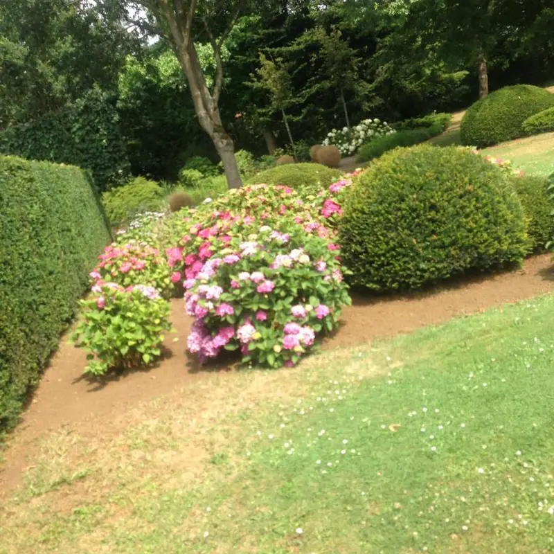 Foto 5